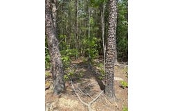 A67 1 Bowmanton Rd Road, Roxboro, NC 27574