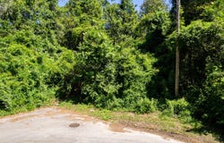 0 Moore Street, Walterboro, SC 29488