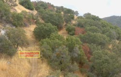 1 Millwood Road, Dunlap, CA 93621