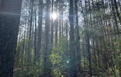 116 Zara Spook Dr Lot 139, Cedar Grove, TN 38321