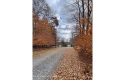 CHEILO 8 Path, Pocono Lake, PA 18347