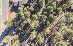 1060 S Lakeside Trail, Show Low, AZ 85901