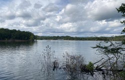 000 Wooley Creek Road, Cape Fair, MO 65624