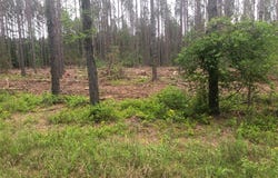 MIKE McC0NNELL Avenue, Iva, SC 29655