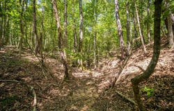 0 FM 255, Laneville, TX 75667