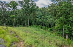 Lot 246 Spear Point, Talking Rock, GA 30175