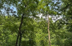 5800 KY 719, Sandy Hook, KY 41171