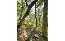 Xxx Brown Lane, Pepin, WI 54759