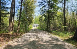 4775 W Cedar Lake Road, Greenbush, MI 48738