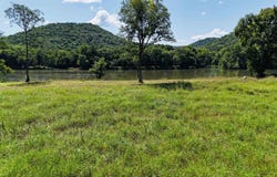 000 Schoolhouse Road, Melbourne, AR 72556
