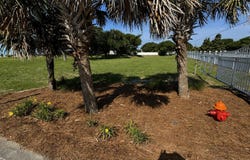 100 Ocean Bluff Drive, Indian Beach, NC 28512