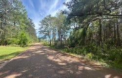 W Smith Ferry Road, Sontag, MS 39665