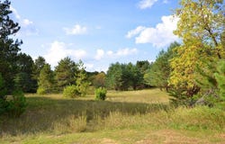 Abc East River Drive, Park Rapids, MN 56470