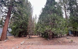 61 Paiute Trail, Graeagle, CA 96103