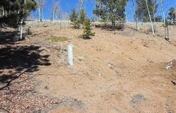 185 No Name Lane, Cripple Creek, CO 80813