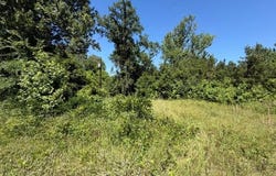 1153 CR 342, Henderson, TX 75654