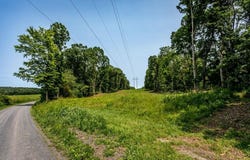 0 PINEY WOODS RD, TIMBERVILLE, VA 22853