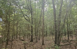 0 Baker Whatley Road, County Road 519, Midland City, AL 36350