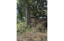 Lot 34 Rayburn Avenue, Guntersville, AL 35976