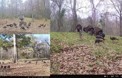 1 Rodney Bend Road, Lorman, MS 39096