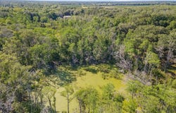 2000 MIXON ROAD, PERRY, FL 32348