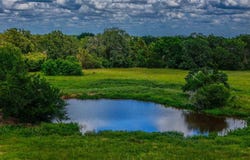 9239 Fm-1696, Bedias, TX 77831