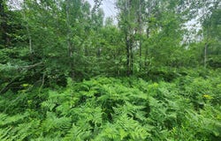 685 Wheelertown, Russia, NY 13438