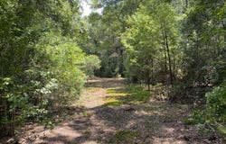 64.5 Acres Hwy 43 N, Poplarville, MS 39470