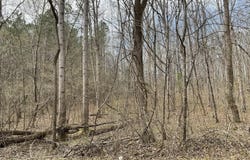 592 Hubberd Town Road, Beech Bluff, TN 38313