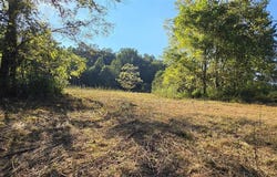 257 New State Road, Webster, KY 40176