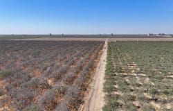 3099 Alila Avenue, Pixley, CA 93256