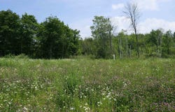 96 Ellsworth Drive, Swanton, VT 05488
