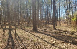 1969 Mulberry Academy Street, Franklinville, NC 27248