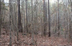 0 Grandview, Mansfield, GA 30055
