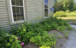 298 2nd NH Turnpike, Hillsborough, NH 03244