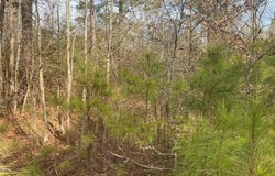 0000 CR 2622, Marietta, TX 75566