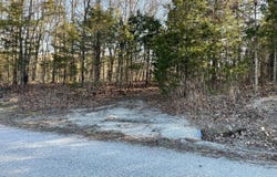 000 Bald Eagle Drive, Galena, MO 65656