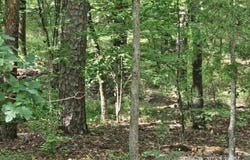Hot Springs Village, AR 71909