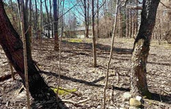 6412 APPLEWOOD LANE, WILLIAMSBURG, MI 49690