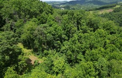 1704 Saltwell Road, Shinnston, WV 26431