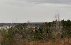Lots Lott 19 & 20, Bainbridge, GA 39817