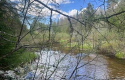 120 Ross Creek County Road 450, Seney, MI 49883