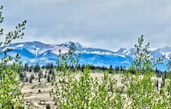 120 PUMA COURT, Como, CO 80432