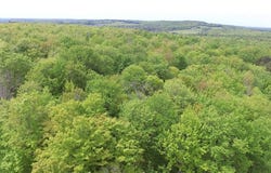 Lot 15.1 Ward Loomis Road, Oxford, NY 13830