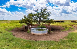 000 N 220 Rd-80 acers, Frederick, OK 73542