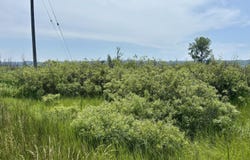 001 W Fairway, Onekama, MI 49675