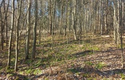 1 Sherry Hollow Rd, Mayport, PA 16240