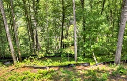 1551 Parker Road, Suches, GA 30572