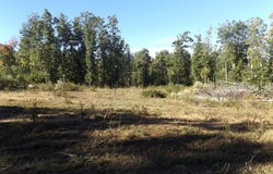 Deer Ridge Rd. lot: 3, Hillsville, VA 24343