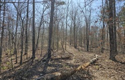 010 Tomahawk Slab Road, Saint Joe, AR 72675